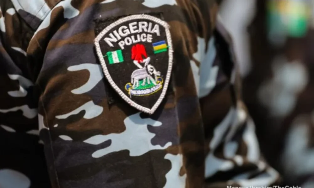 Police gun down kidnappers of ex-aigs wife rescue victim - nigeria newspapers online