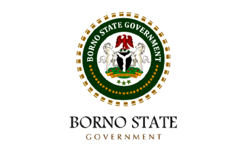 Usaid funding cut wont affect essential services in borno commissioner - nigeria newspapers online